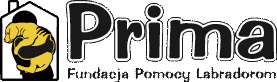 Fundacja PRIMA